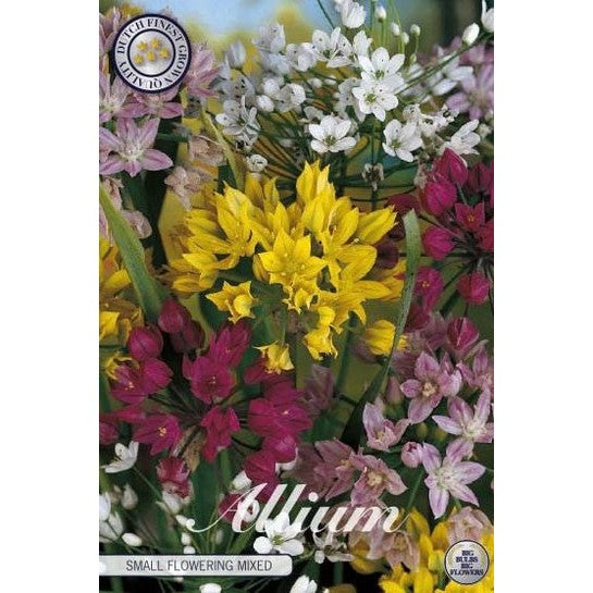Allium Small Flowering Mixed 20-pack